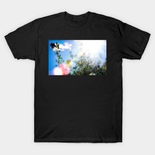 Sun orbs T-Shirt